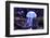 Jellyfish-Aizhong Wang-Framed Photographic Print