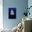 Jellyfish-null-Mounted Photographic Print displayed on a wall