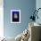 Jellyfish-null-Framed Photographic Print displayed on a wall