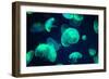 Jellyfish-Chizara3-Framed Photographic Print