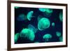 Jellyfish-Chizara3-Framed Photographic Print