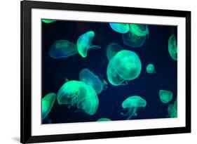 Jellyfish-Chizara3-Framed Photographic Print