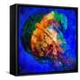 Jellyfish-Ursula Abresch-Framed Stretched Canvas