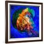 Jellyfish-Ursula Abresch-Framed Photographic Print