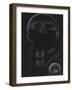 Jellyfish-Philip Henry Gosse-Framed Giclee Print