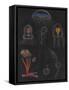 Jellyfish-Philip Henry Gosse-Framed Stretched Canvas