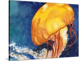 Jellyfish-Jennifer Redstreake Geary-Stretched Canvas