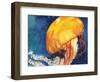 Jellyfish-Jennifer Redstreake Geary-Framed Art Print