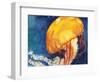 Jellyfish-Jennifer Redstreake Geary-Framed Art Print