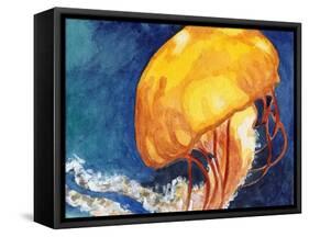 Jellyfish-Jennifer Redstreake Geary-Framed Stretched Canvas