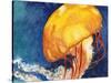 Jellyfish-Jennifer Redstreake Geary-Stretched Canvas