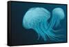 Jellyfish-Arkela-Framed Stretched Canvas