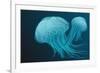 Jellyfish-Arkela-Framed Premium Giclee Print