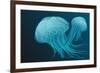 Jellyfish-Arkela-Framed Premium Giclee Print