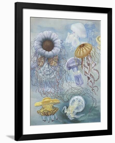 Jellyfish-null-Framed Giclee Print