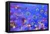 Jellyfishes 1-RUNA-Framed Stretched Canvas