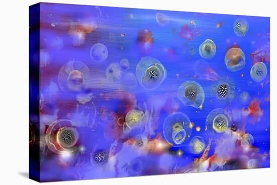 Jellyfishes 1-RUNA-Stretched Canvas