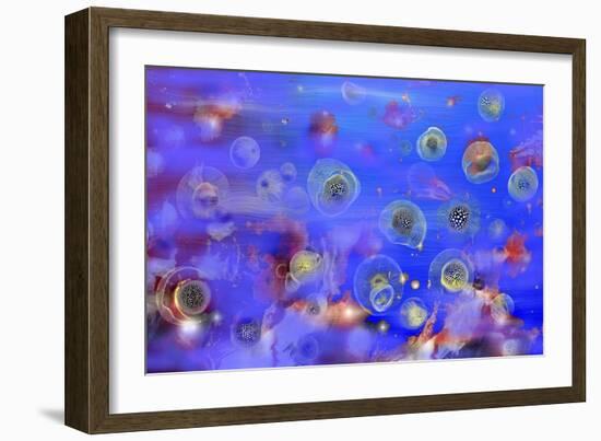 Jellyfishes 1-RUNA-Framed Giclee Print