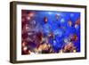 Jellyfishes 2-RUNA-Framed Giclee Print