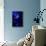 Jellyfishes on Dark Blue Background-PH OK-Stretched Canvas displayed on a wall