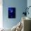 Jellyfishes on Dark Blue Background-PH OK-Photographic Print displayed on a wall