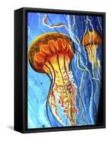 Jellys-Martin Nasim-Framed Stretched Canvas