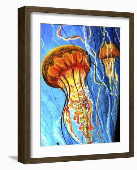 Jellys-Martin Nasim-Framed Giclee Print