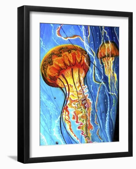 Jellys-Martin Nasim-Framed Giclee Print