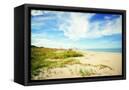 Canvas Black