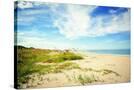 Stretched Canvas