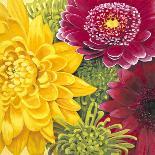 Blooming Delight I-Jenaya Jackson-Art Print