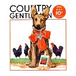 "Guarding the Garden," Country Gentleman Cover, May 1, 1935-Jene Klebe-Mounted Giclee Print