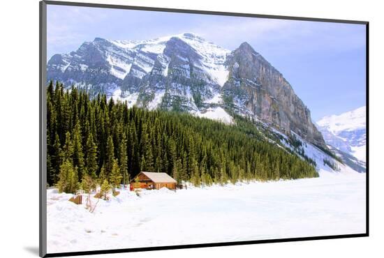 Photographic Print, , large