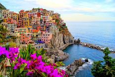 Village of Manarola, on the Cinque Terre Coast of Italy with Flowers-Jenifoto-Photographic Print