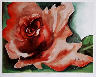 A Rose Is-Jenik Cook-Framed Collectable Print