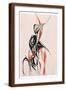 Brown Frame