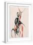 White Frame