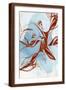 Brown Frame