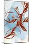 Wood Mount