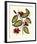 Jenna's Flowers III-Sellier-Framed Giclee Print