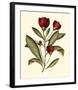 Jenna's Flowers IV-Sellier-Framed Giclee Print