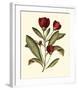 Jenna's Flowers IV-Sellier-Framed Giclee Print