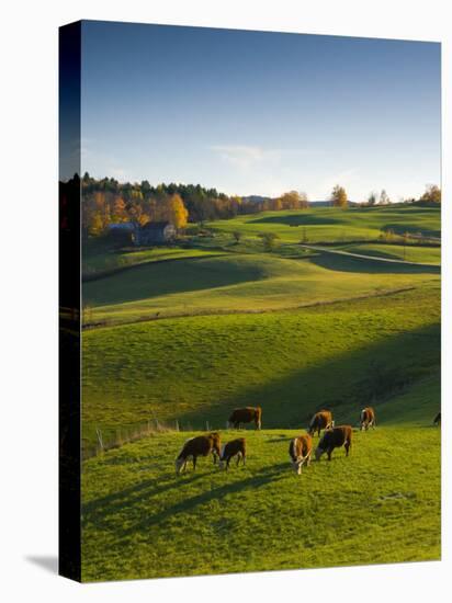 Jenne Farm, Nr Woodstock, Vermont, USA-Alan Copson-Stretched Canvas