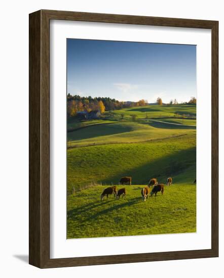 Jenne Farm, Nr Woodstock, Vermont, USA-Alan Copson-Framed Photographic Print