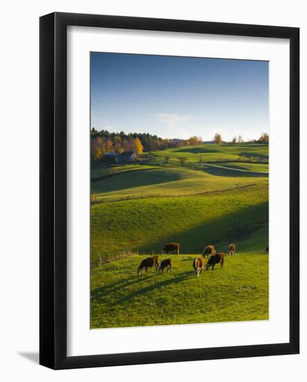 Jenne Farm, Nr Woodstock, Vermont, USA-Alan Copson-Framed Photographic Print