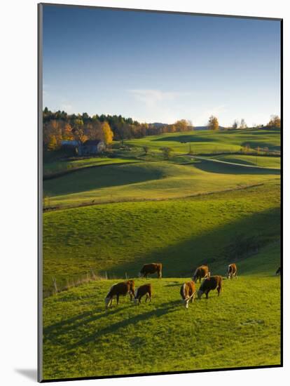 Jenne Farm, Nr Woodstock, Vermont, USA-Alan Copson-Mounted Photographic Print