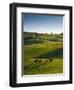 Jenne Farm, Nr Woodstock, Vermont, USA-Alan Copson-Framed Photographic Print