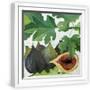 White Frame