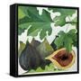 Canvas Black