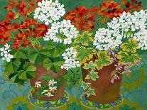 Red and White Geraniums in Pots, 2013-Jennifer Abbott-Giclee Print